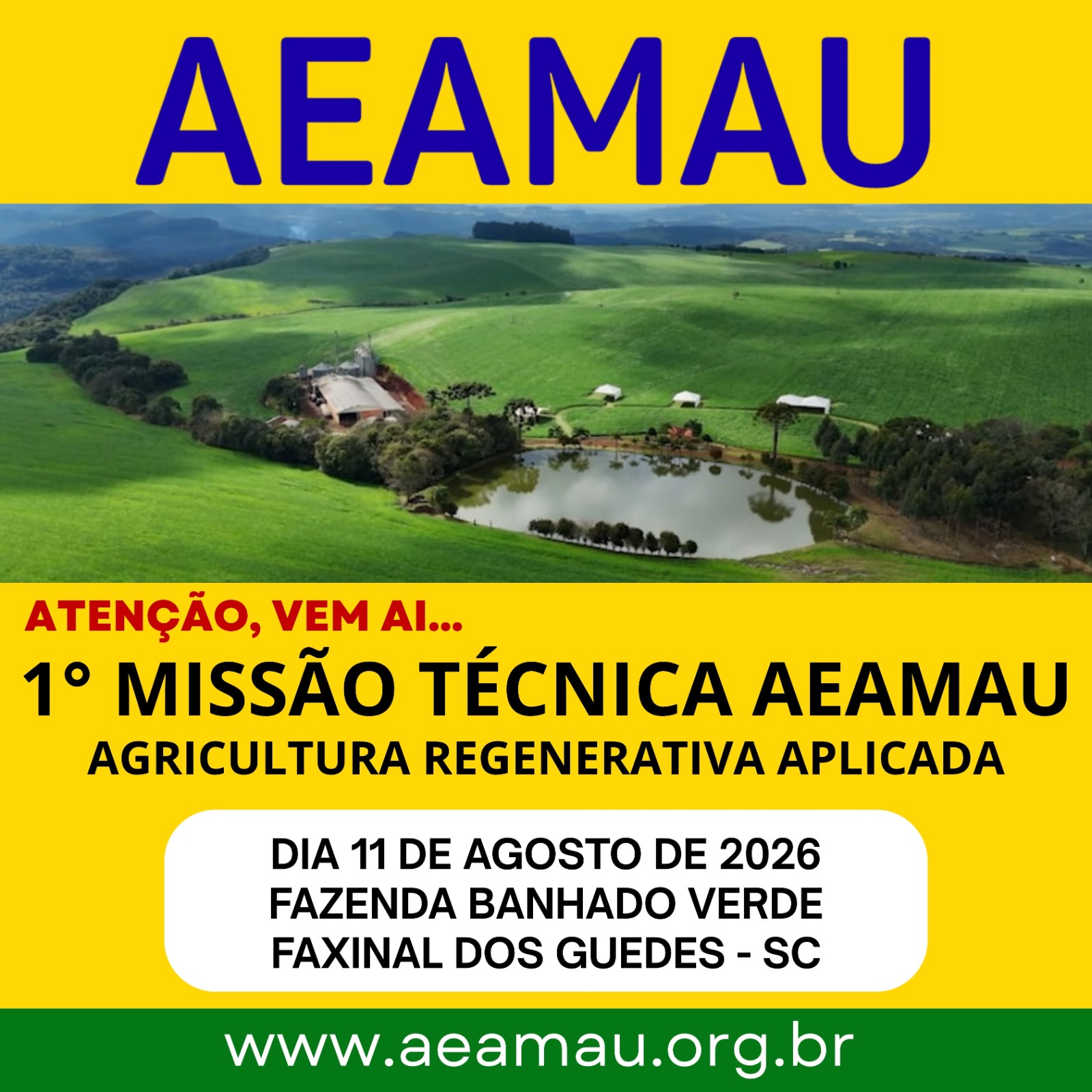 AEAMAU